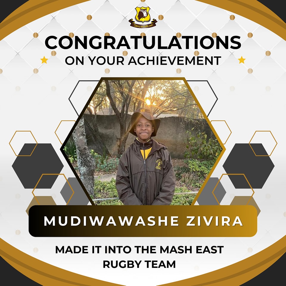 Mudiwawashe Zivira Wise Owl Primary School